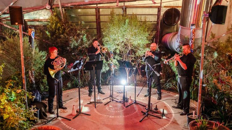 Christmas band in Med Biome