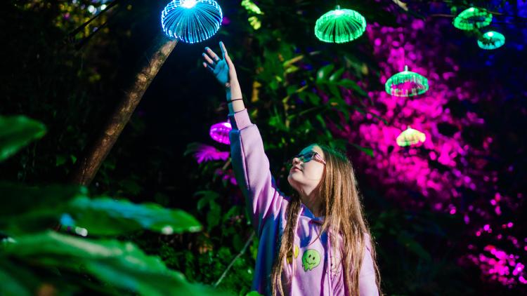 Little girl in Rainforest Biome looking up at Christmas lights