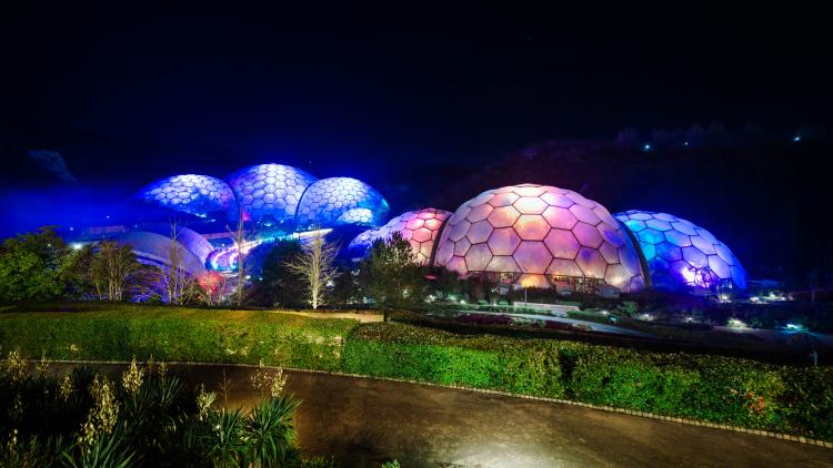 Wide angle shot of Biomes lit up with Christmas lights