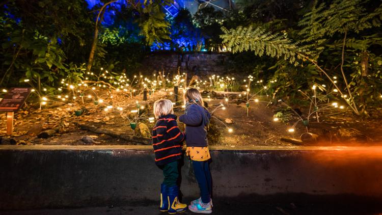 Children looking at firefly-like Christmas lights in Eden's Rainforest Biome