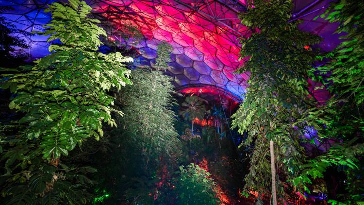 Eden Biome Rainforest Biome lit up with red and blue lights