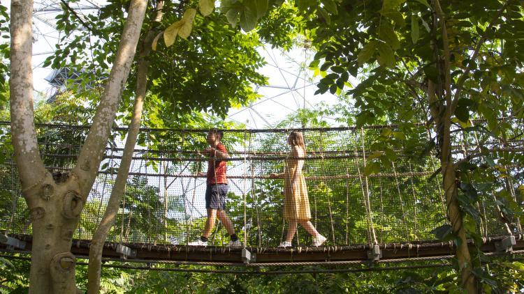 Young couple on wobbly bridge in Rainforest Biome