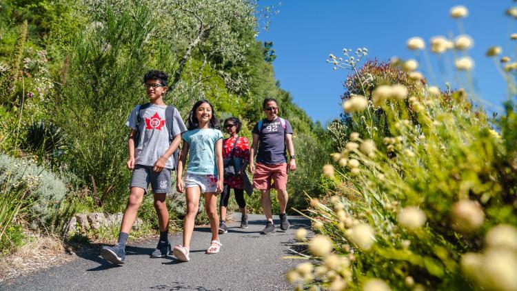 Family walking through Outdoor Garden's on a sunny day