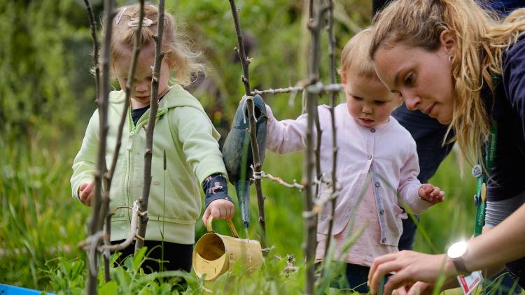 Woman with toddlers watering sapling trees