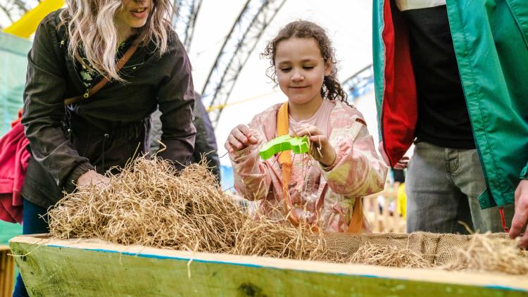 Girl finding wooden chicken hidden in some straw