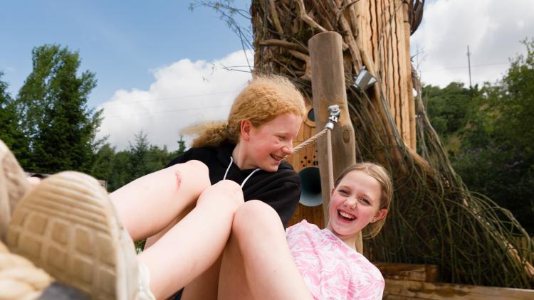 Girls on swing with giant tree climbing sculpture in the background
