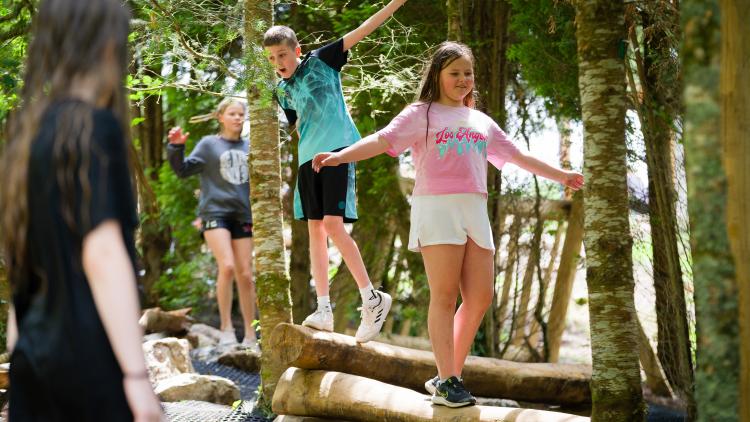 Children balancing on wooden logs in the woods