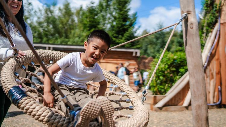 Boy on accessible swing