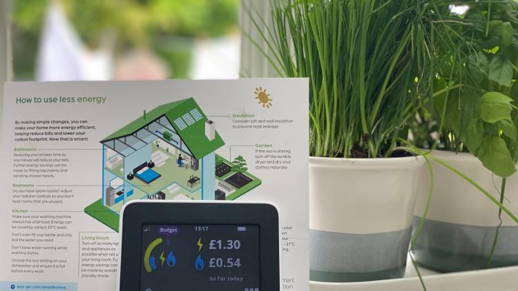 Home smart meter