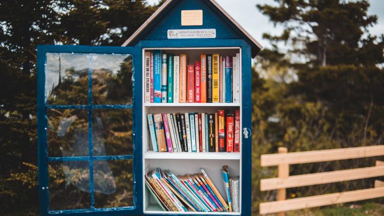 Books in a share library