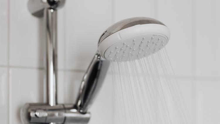 Shower head