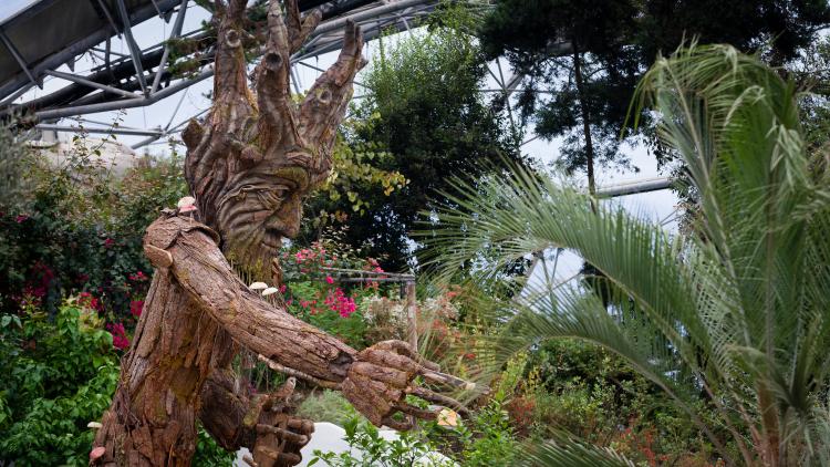 Tree Giant sculpture in the Mediterranean Biome