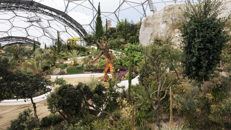 Huge 8 metre Tree Giant sculpture in the Mediterranean Biome 