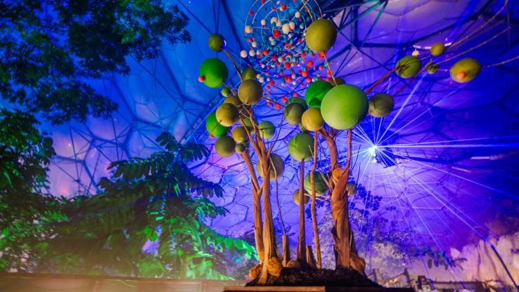 Christmas lights in the Rainforest Biome shining through plants and Carbon exhibit