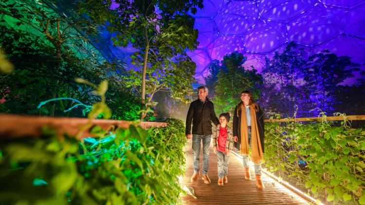 Family on a walkway in the Rainforest Biome looking a stunning Christmas lighting