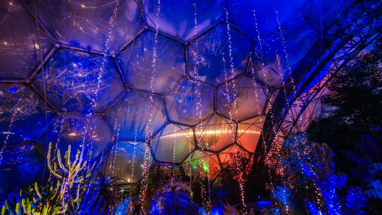 string-lights-eden-project-christmas.jpg