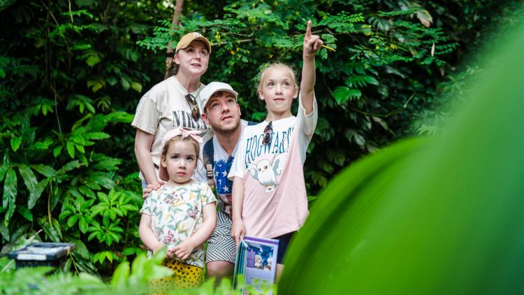 Family in the Rainforest Biome pointing