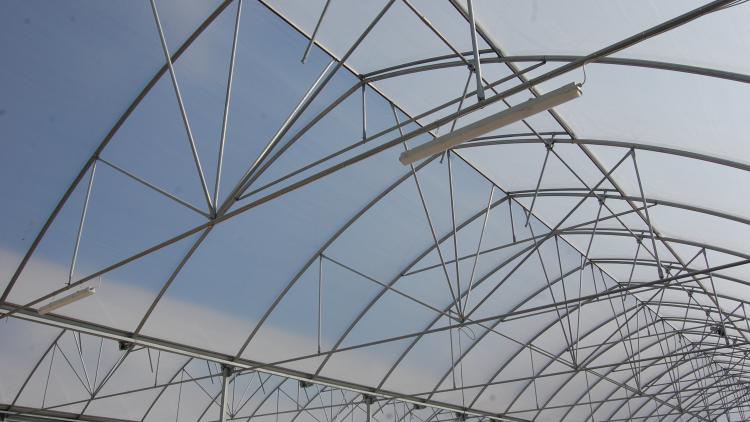 Interior roof of Growing Point