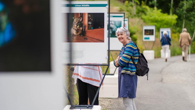 Woman looking at photography exhibition in the Outdoor Gardens of the Eden Project