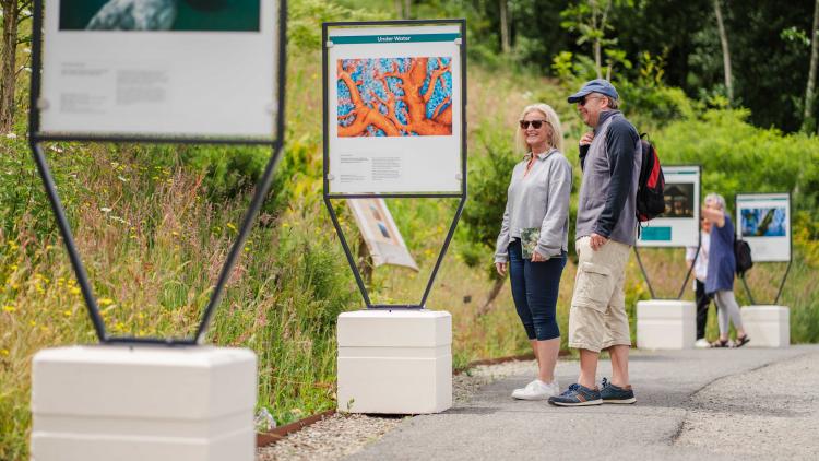 Couple looking at photography exhibition in the Outdoor Gardens of the Eden Project