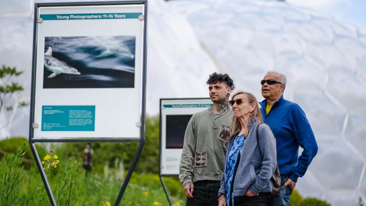 Family looking at photography exhibition in the Outdoor Gardens of the Eden Project