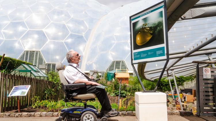 Man on a mobility scooter looking at photography exhibition in the Outdoor Gardens of the Eden Project