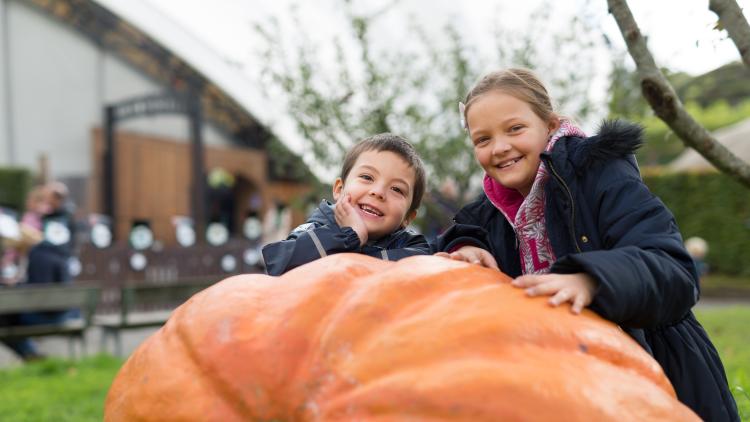 Children stood behind a giant pumpkin