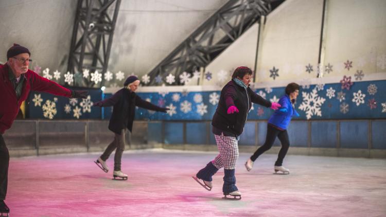 Ice skating lesson