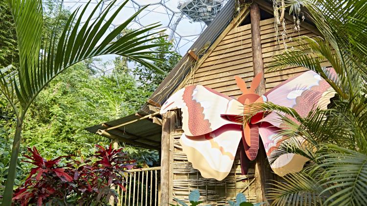 Giant cardboard moth sculpture on the Malaysian House in the Eden Project's Rainforest Biome