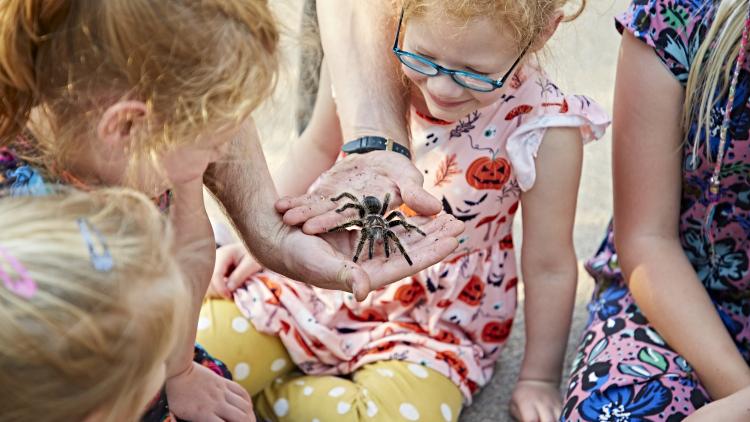 Girls looking at tarantula in a man's hands