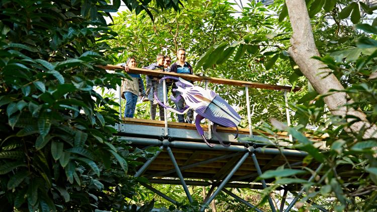 Family looking down at a giant cardboard bug sculpture from a walkway in the Eden Project's Rainforest Biome