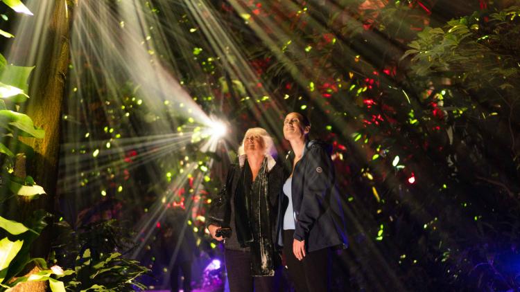 Women immersed in disco ball Christmas lights in the Rainforest Biome
