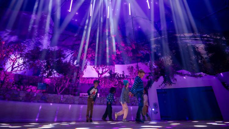 Children dancing in the Mediterranean Biome under purple disco lights