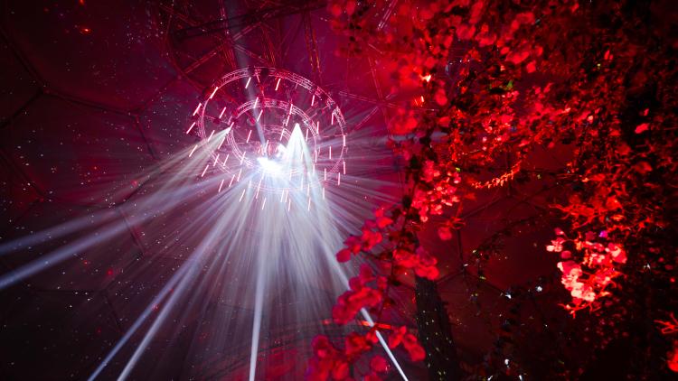 Beams of white light piercing through red light in the Eden Project Christmas experience