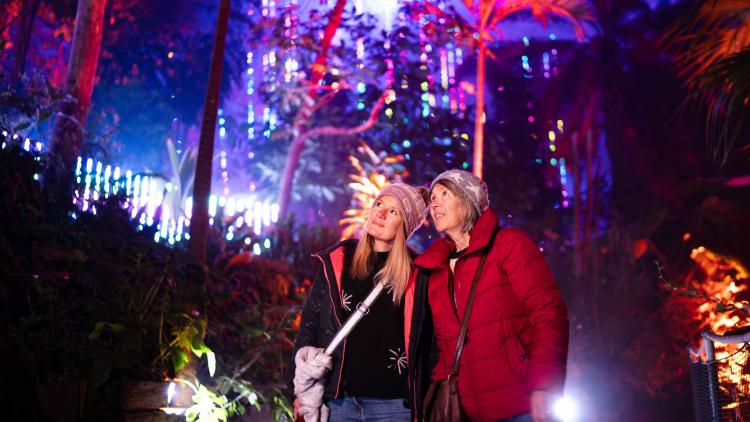 Two women enjoying immersive Christmas lights in the Eden Project Rainforest Biome