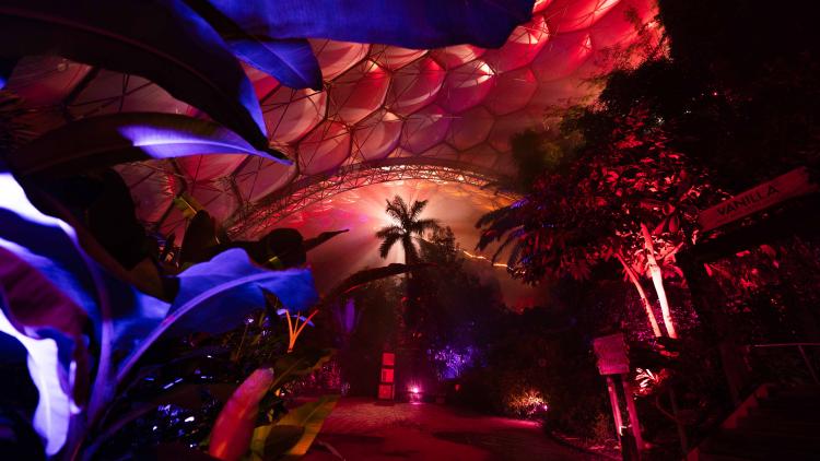 Eden Project's Rainforest Biome drenched in red Christmas lights