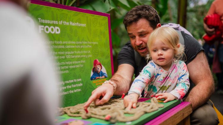 Dad and daughter completing trail puzzle