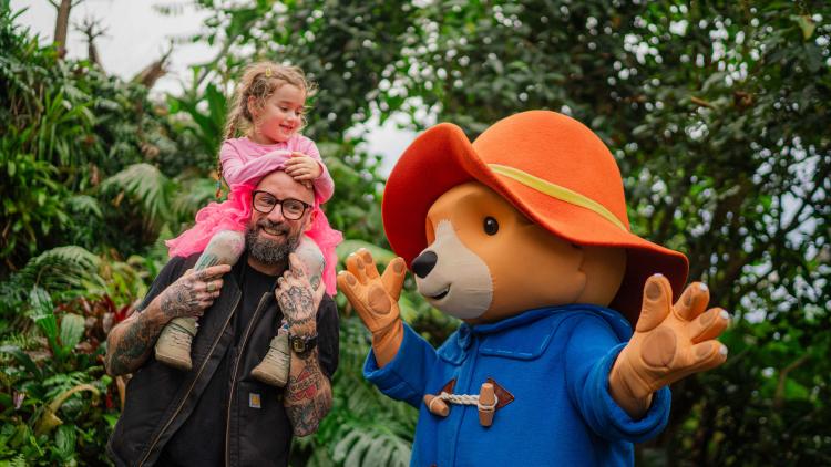 Daughter on dad's shoulders meeting Paddington Bear in the Eden Project's Rainforest Biome