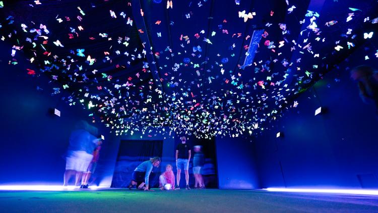 Artwork made up of a ceiling of glowing UV butterflies
