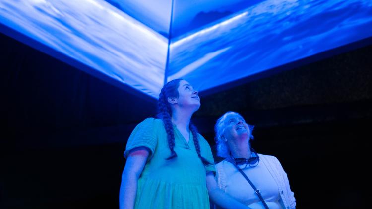 Two women looking up at a projection