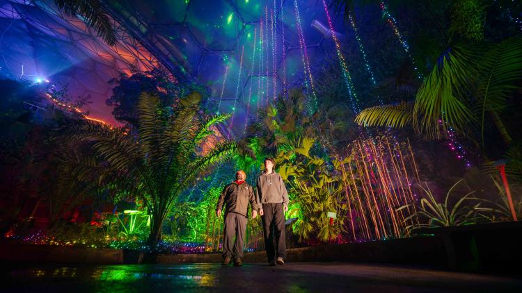 Looking up at the Christmas lights in the Rainforest Biome with people walking past