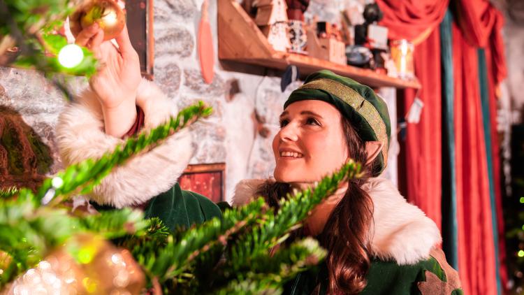 Elf looking at a bauble on a Christmas tree