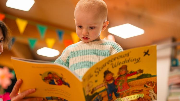 Toddler reading The Scarecrows' Wedding book