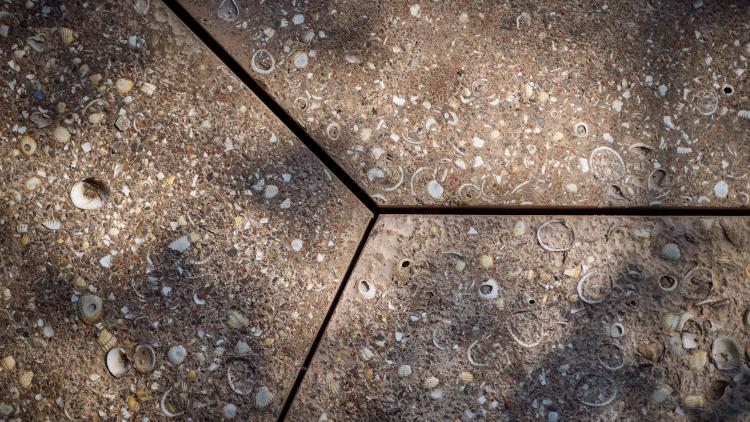 Clamcrete
