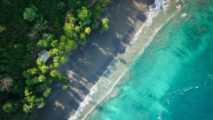 Overhead shot of turquoise waters, beach and forest