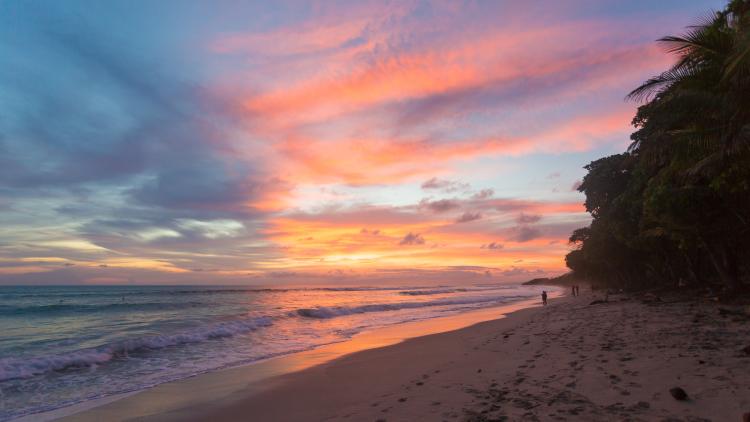 Sunset over a beach with forest