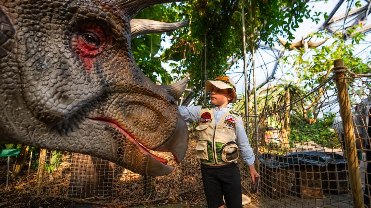 Boy wearing Jurassic Park costume meeting a triceratops