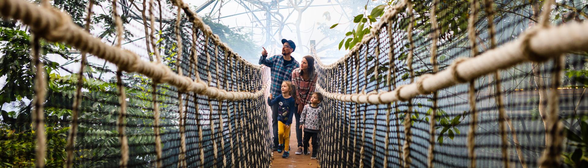 Family walking across wobbly bridge in Eden's Rainforest Biome