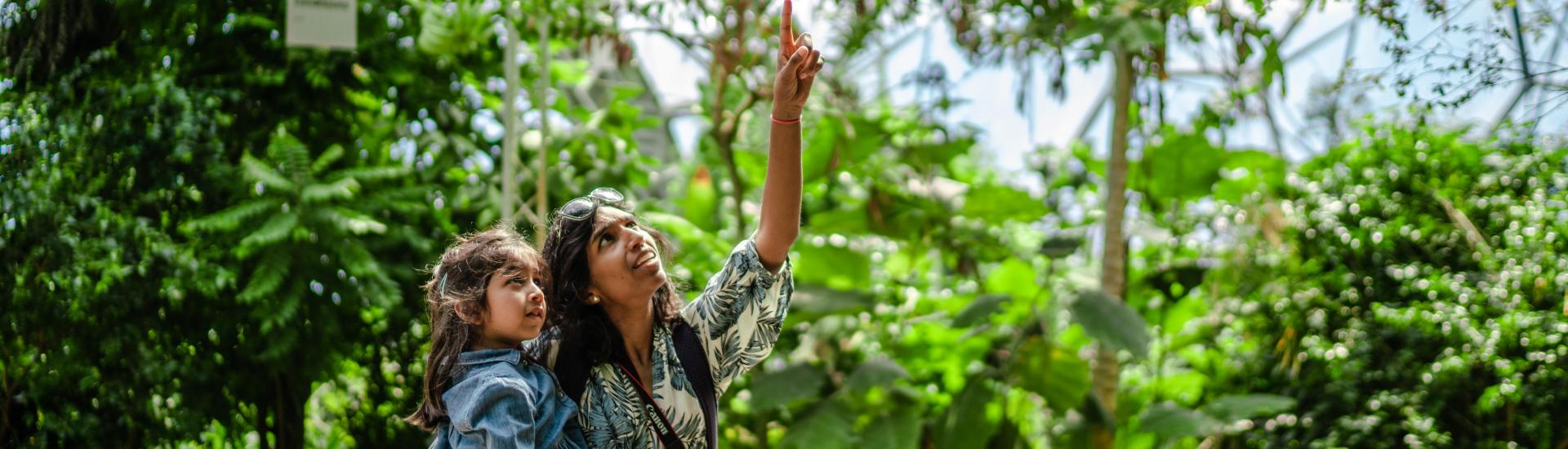 Mother holding young daughter and pointing at tree in Rainforest Biome at Eden Project