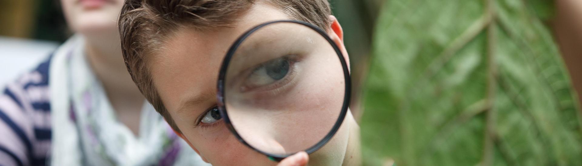 Boy examining a leaf with a magnifying glass